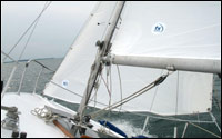 mainsail and genoa on a Mustang 22